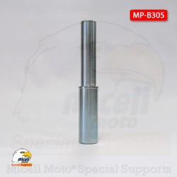 Pin for single arm Bmw F800 S / ST